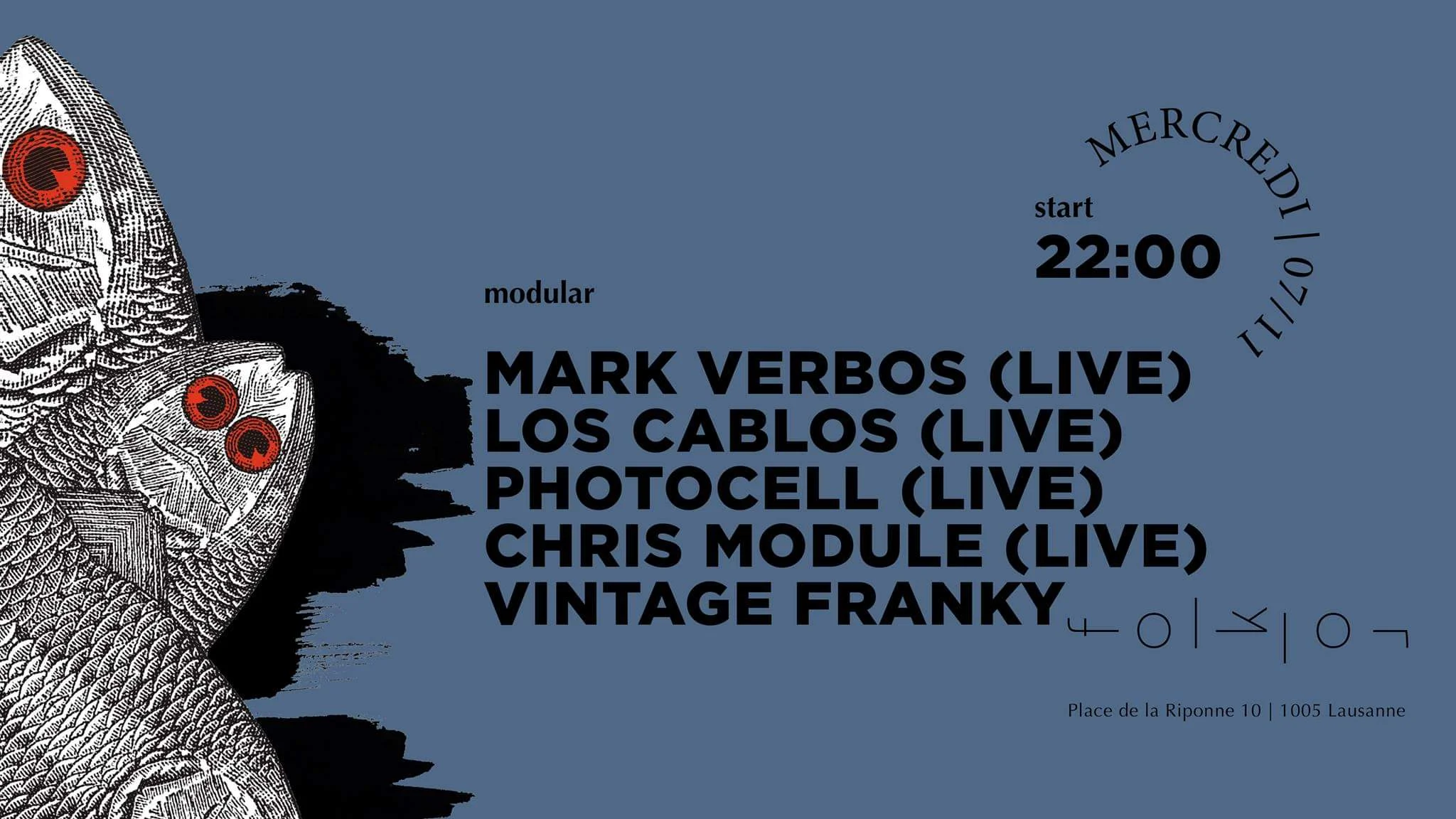 Modular [Live Performance]