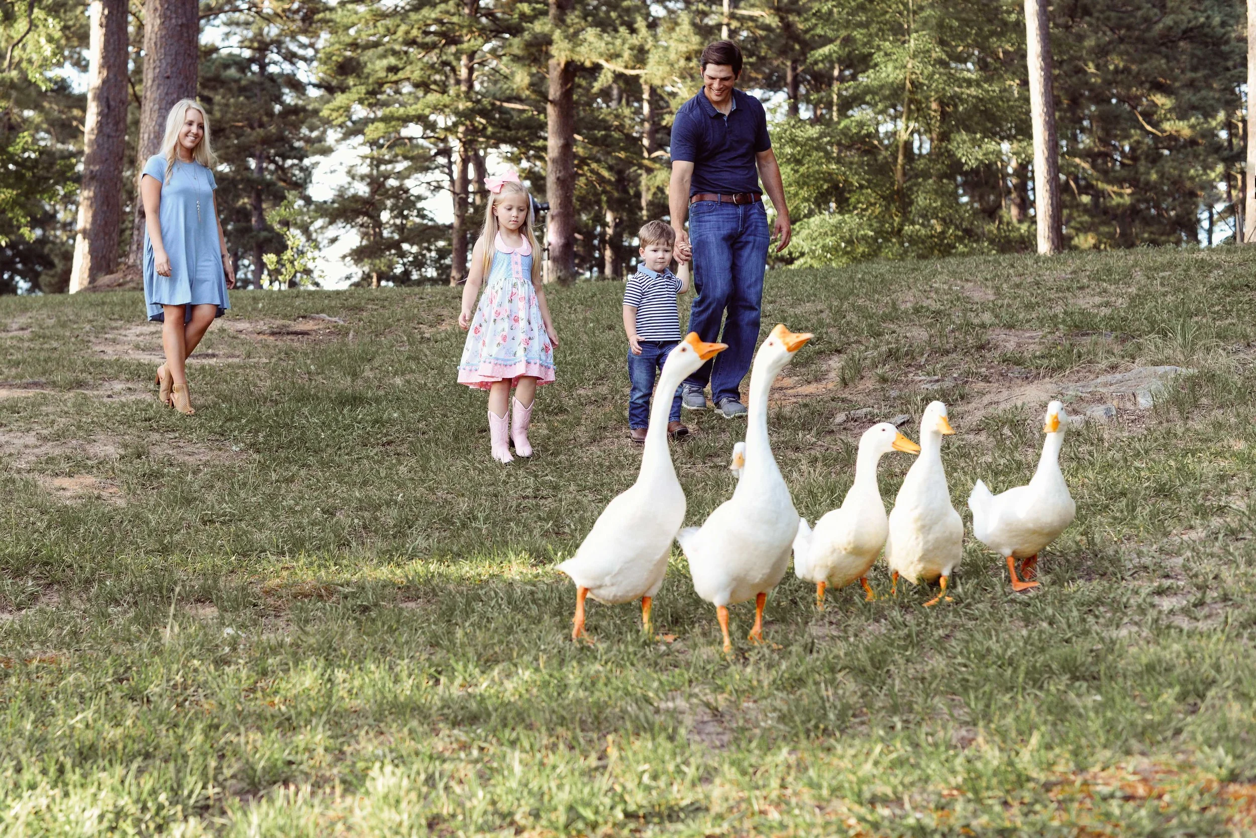 family feeding ducks