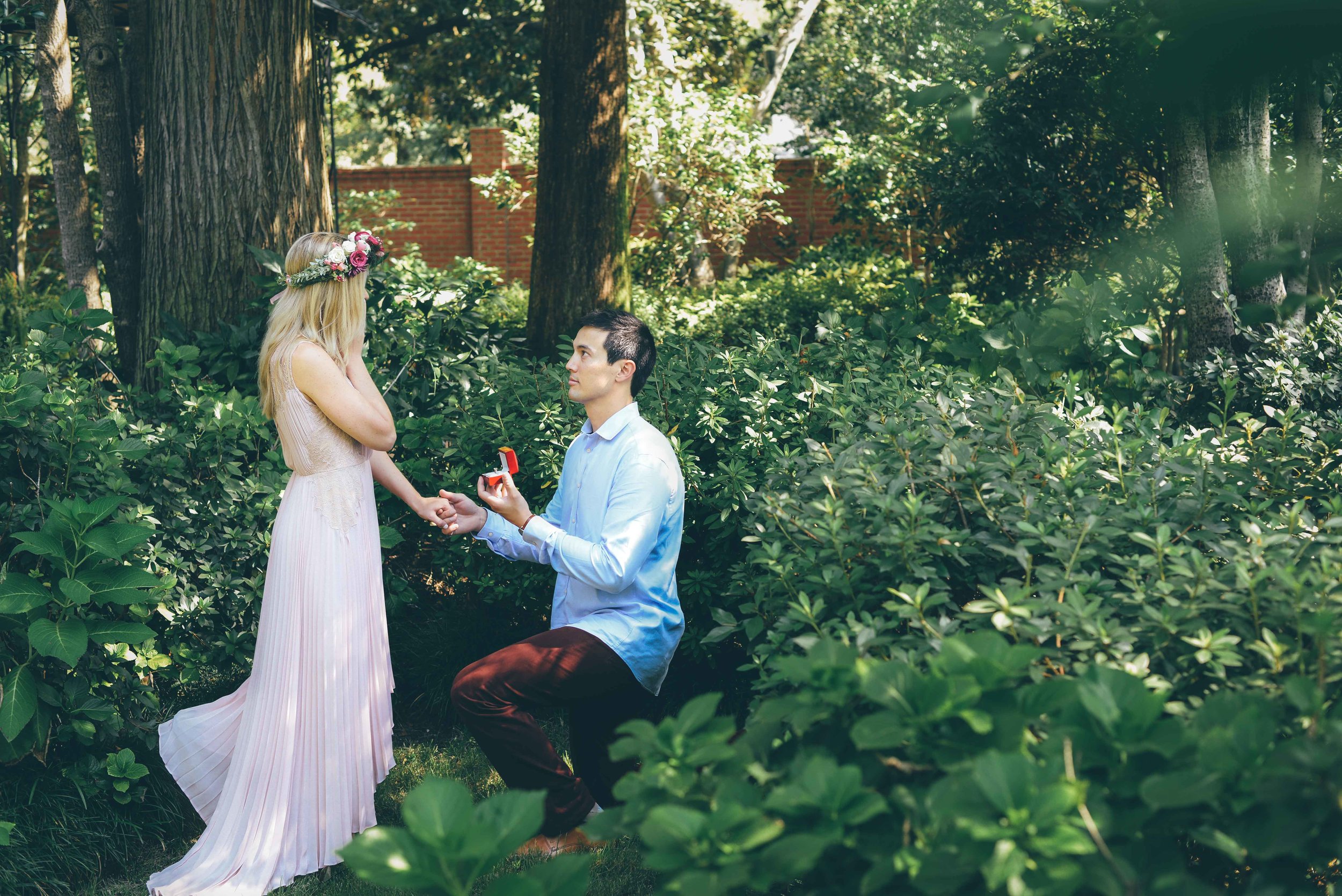 proposal in garden