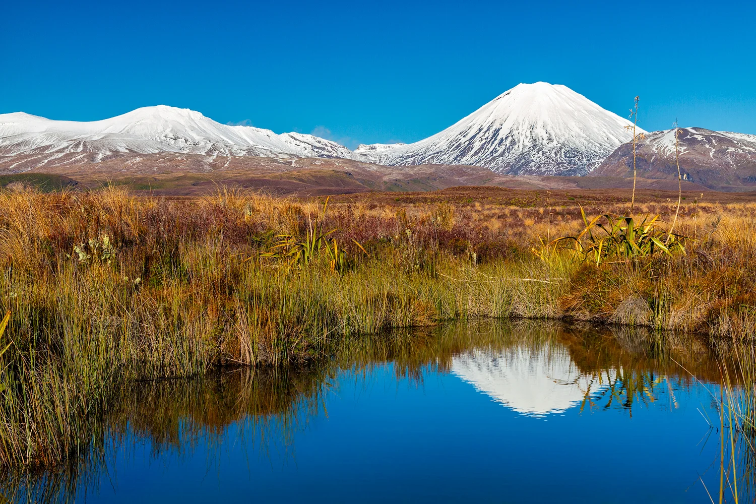 Ngauruhoe Reflection. 33 mm | 1/50th sec | f11 | ISO100