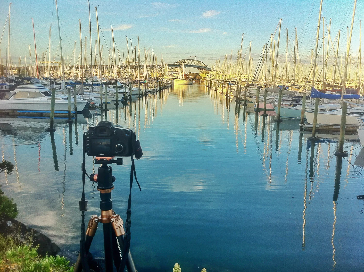 Behind the lens