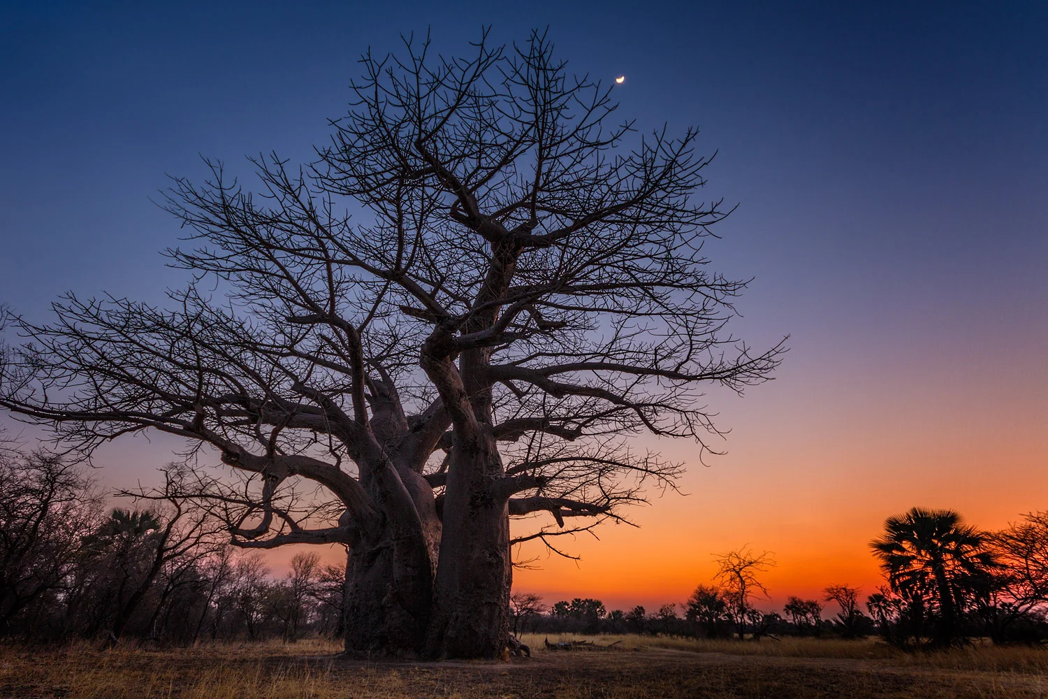 Namibian Sunset . 10mm | 2.0 sec | f8 | ISO100