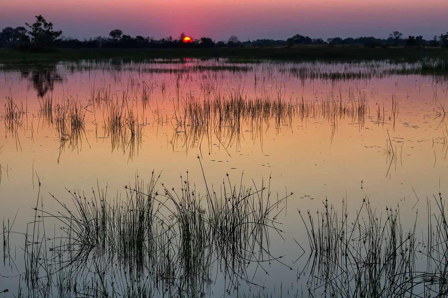 Throwback Thursday - Okavango Delta Sunset