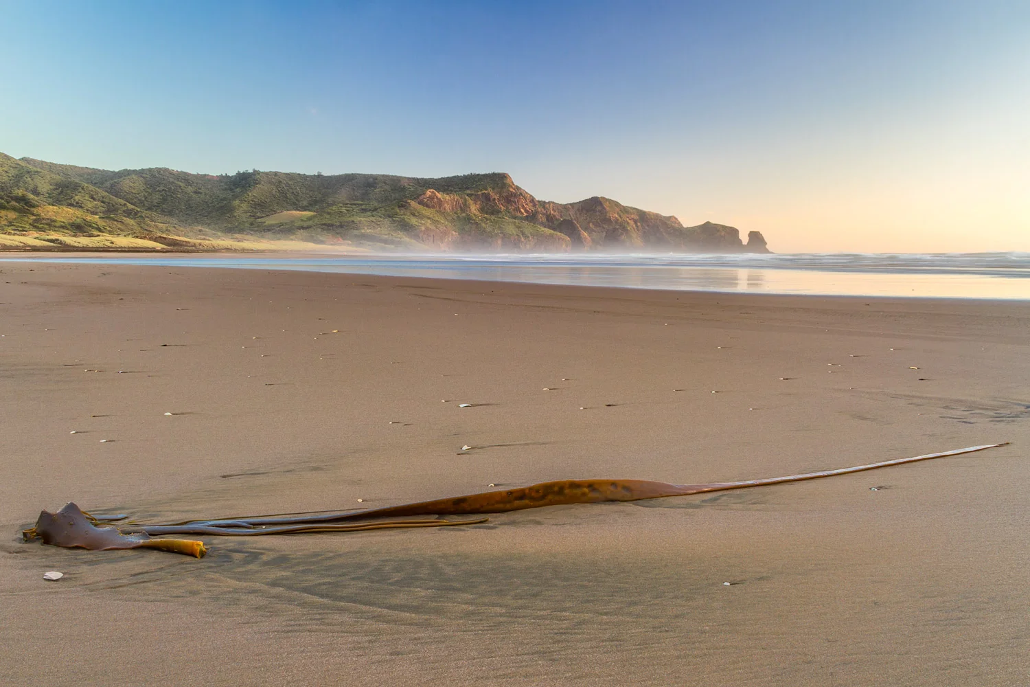 Bethells Beach