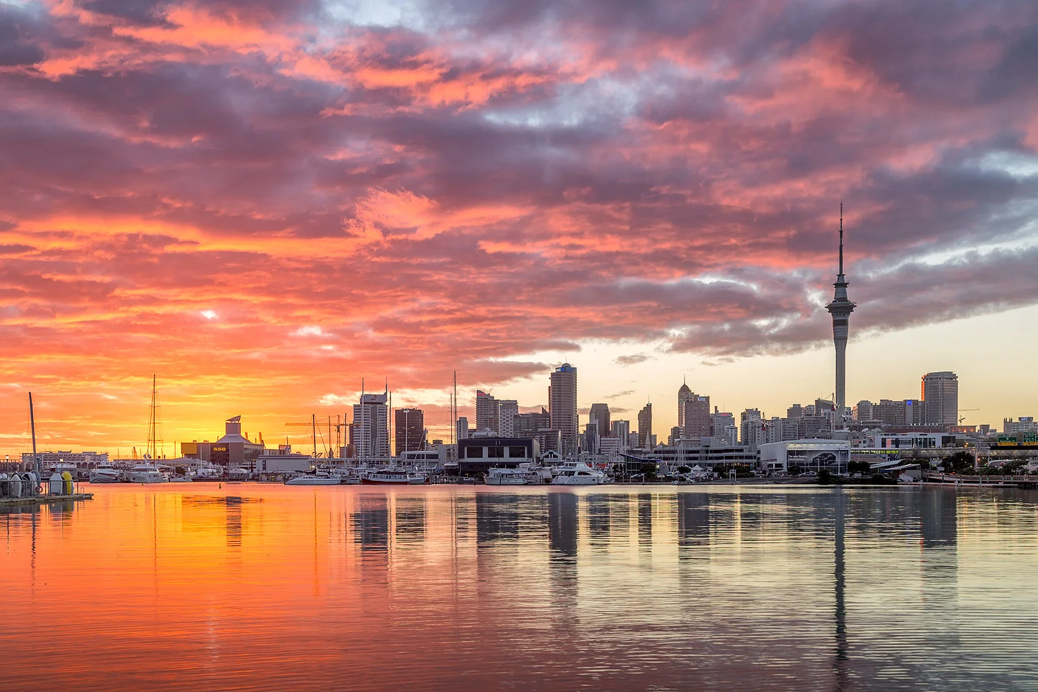 Auckland City Sunrise | 40mm | 1/5 sec | f8.0 | ISO100