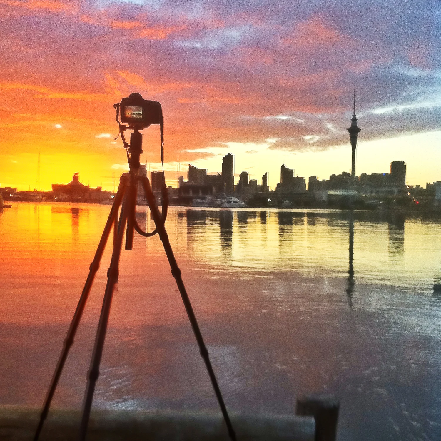 Behind the Lens