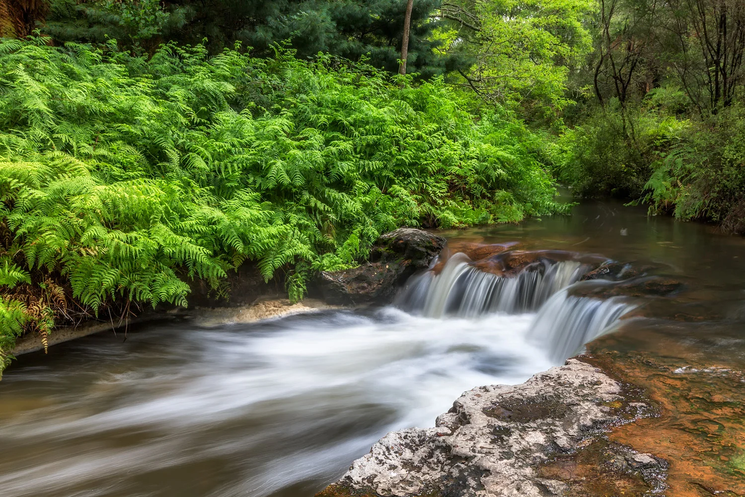 Kerosene Creek | 16mm | 1.0sec | f16 | ISO100