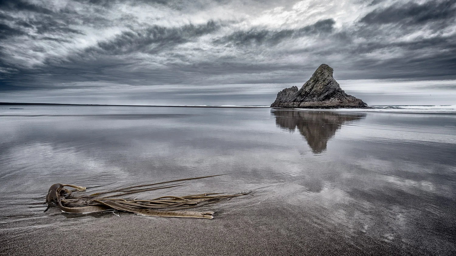 Karekare seaweed | 16mm | 1.3 sec | f8.0 | ISO100