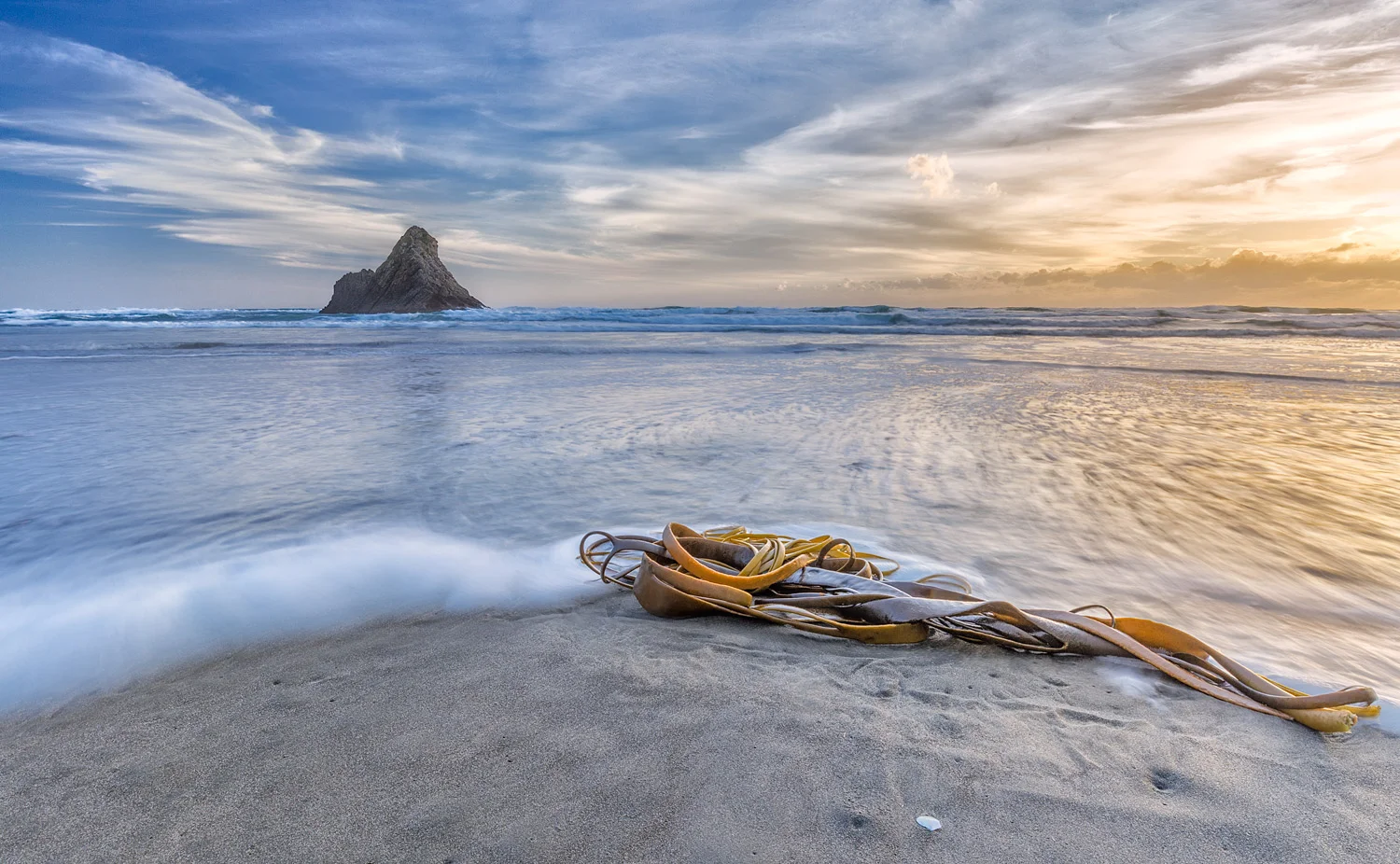 Karekare beach seaweed | 20mm | 1.0sec | f20 | ISO100