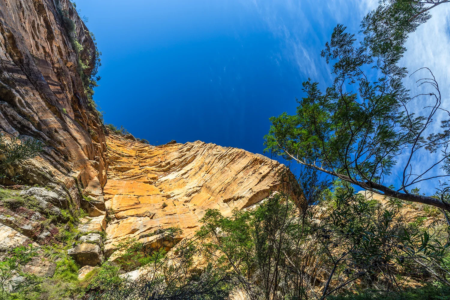 Look Up | 17mm | 1/30th sec | f8.0 | ISO100