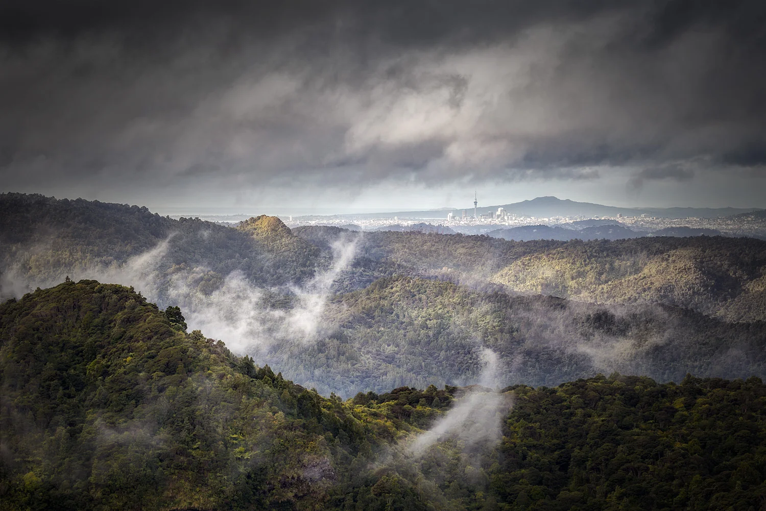 Auckland City from the Donald McLean lookout. | 135mm | 1/160th | f8.0 | ISO200