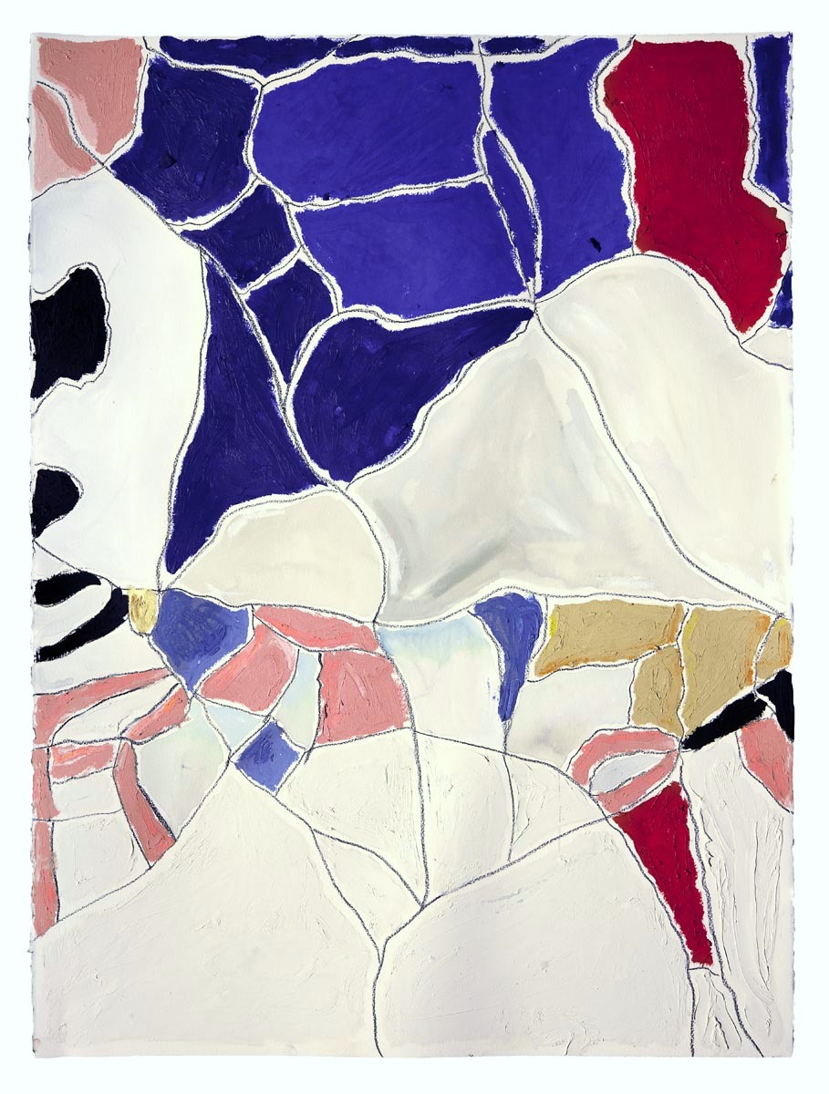   White, Blue, Red   oil, charcoal, gouache on paper  30” x 22” 