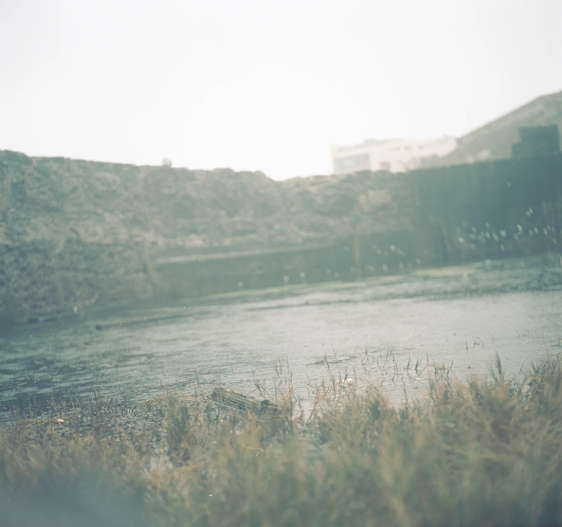 dream_state_6 copy.jpg