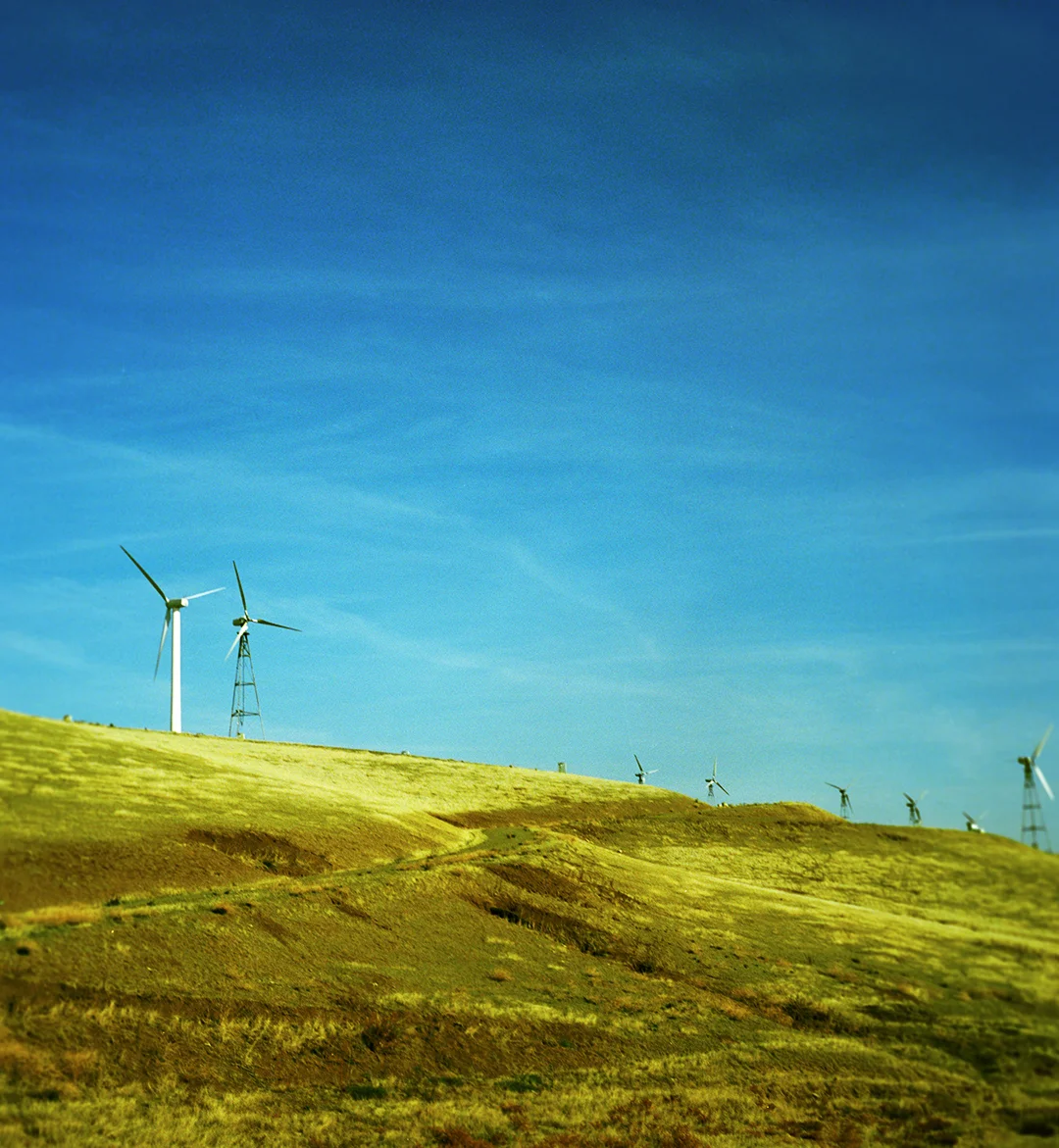 windmills.jpg