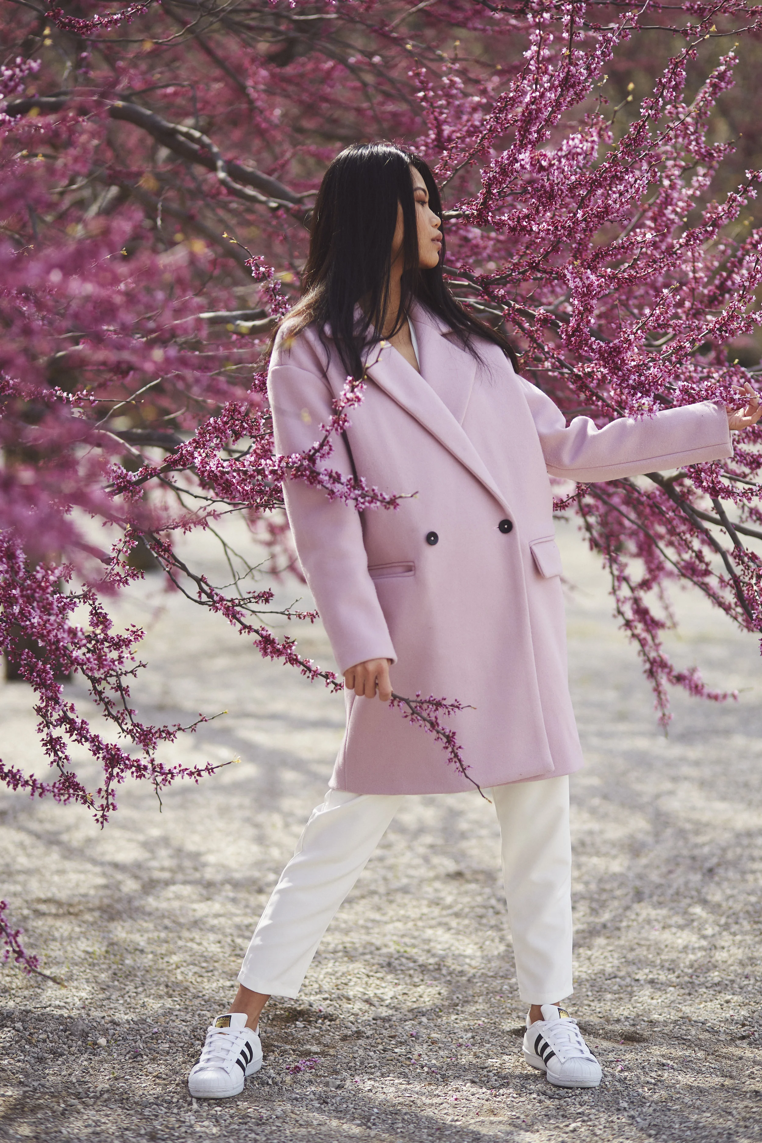 Daphne - benromangphoto - 6I5A9390.jpg