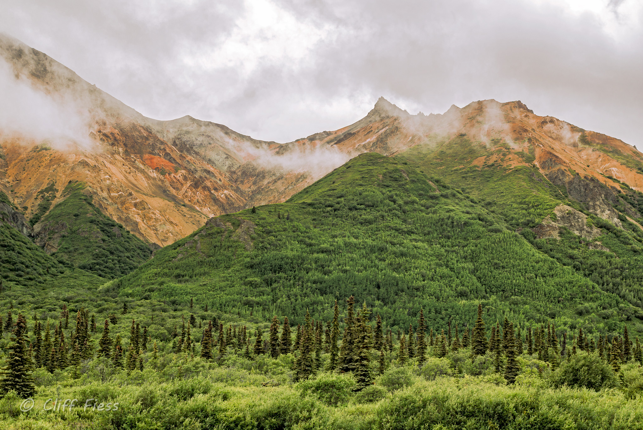 Alaska Scene