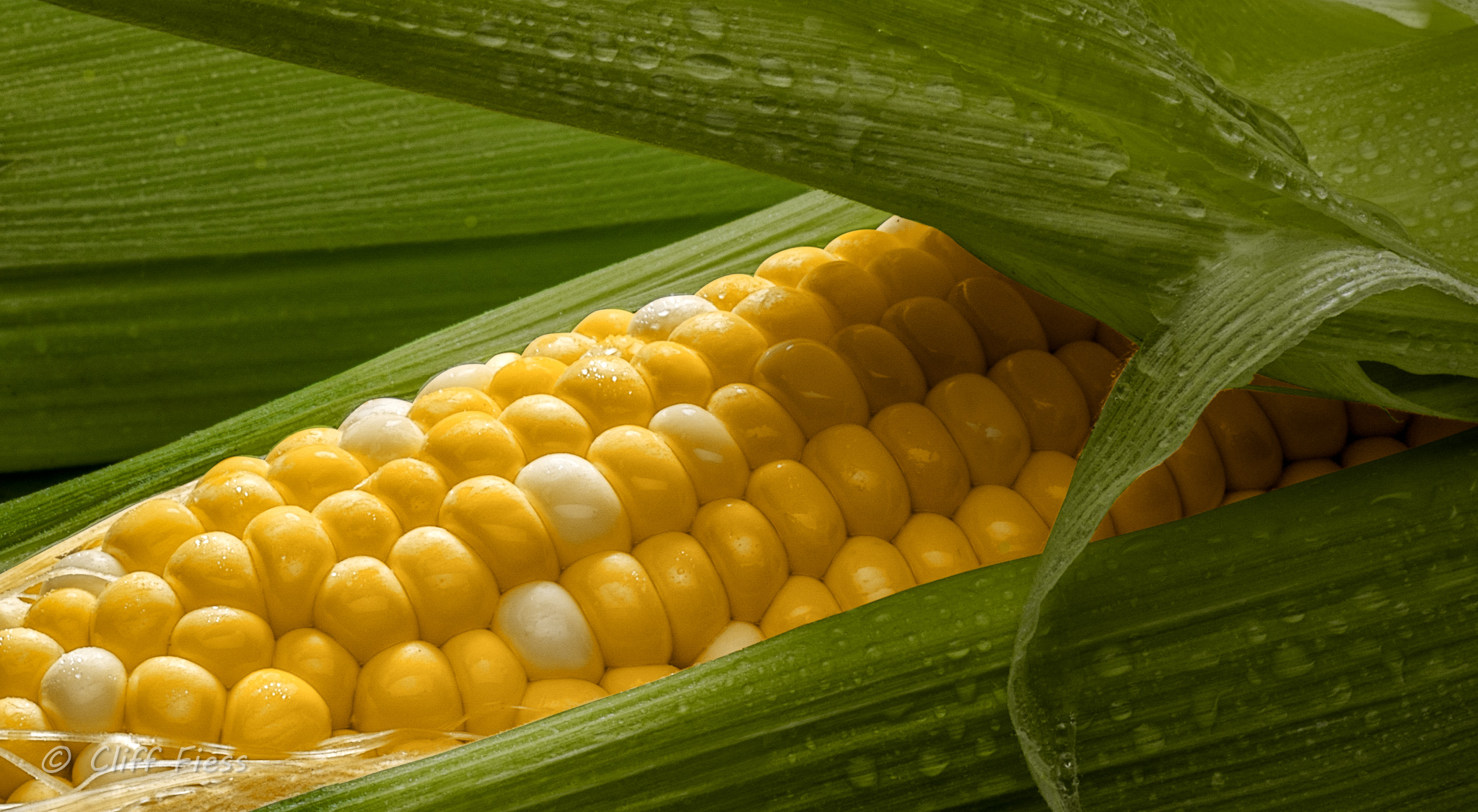 I-love-fresh-corn-on-the-cob.jpg
