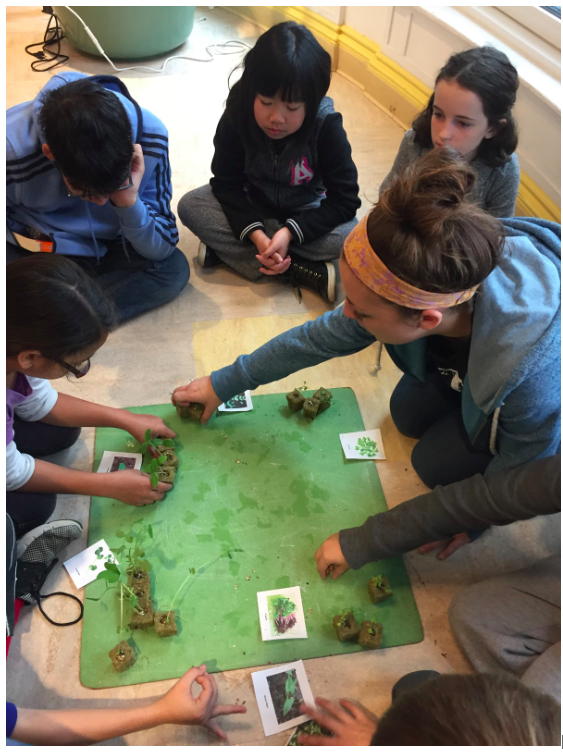 Haven with Change is Simple students