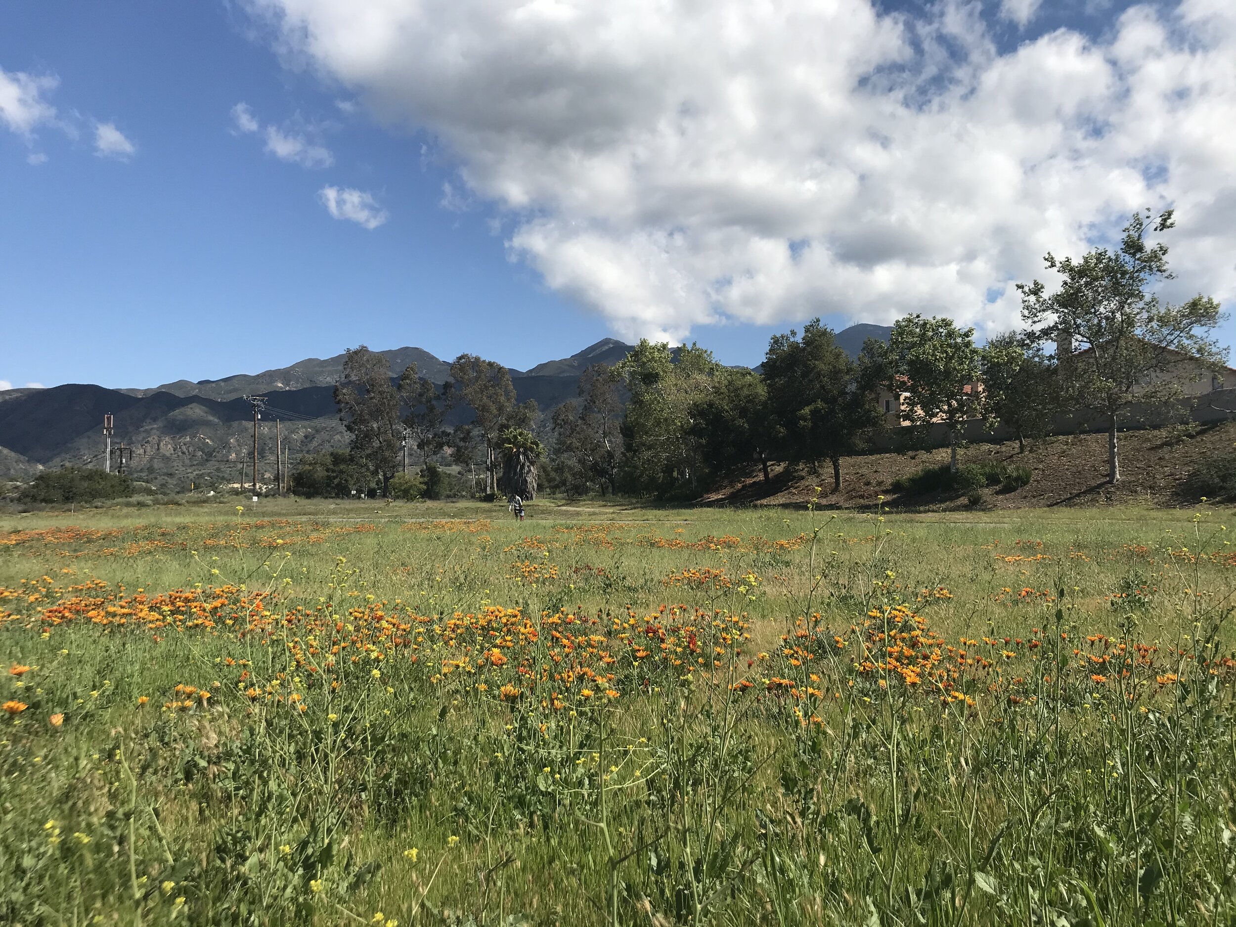 Exploring a New Ecosystem