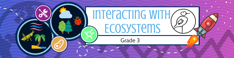 Interacting with Ecosystems: Grade 3