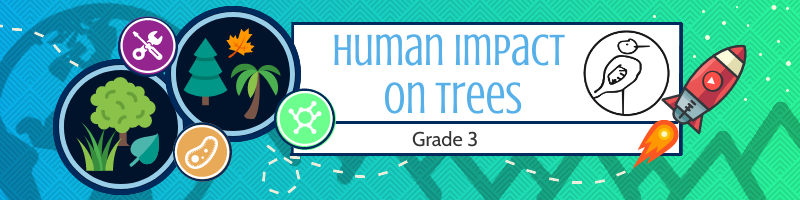 Human Impact on Forests: Grade 3