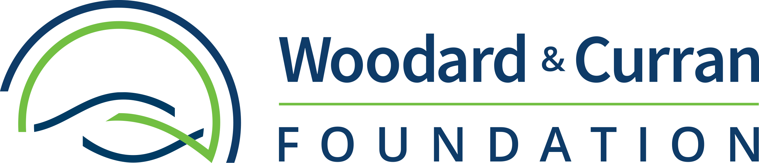 Foundation Logo_Horizontal_Color.png