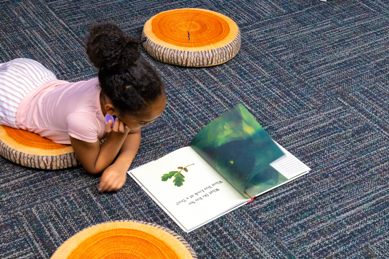 Climate Libraries: An Exciting EPA-Supported Change is Simple Initiative