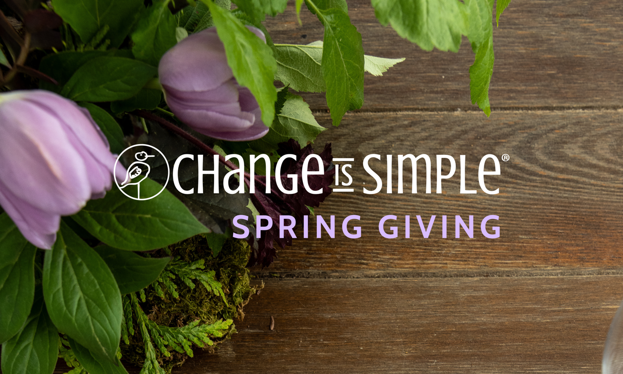 spring2026_banner2 Large.png