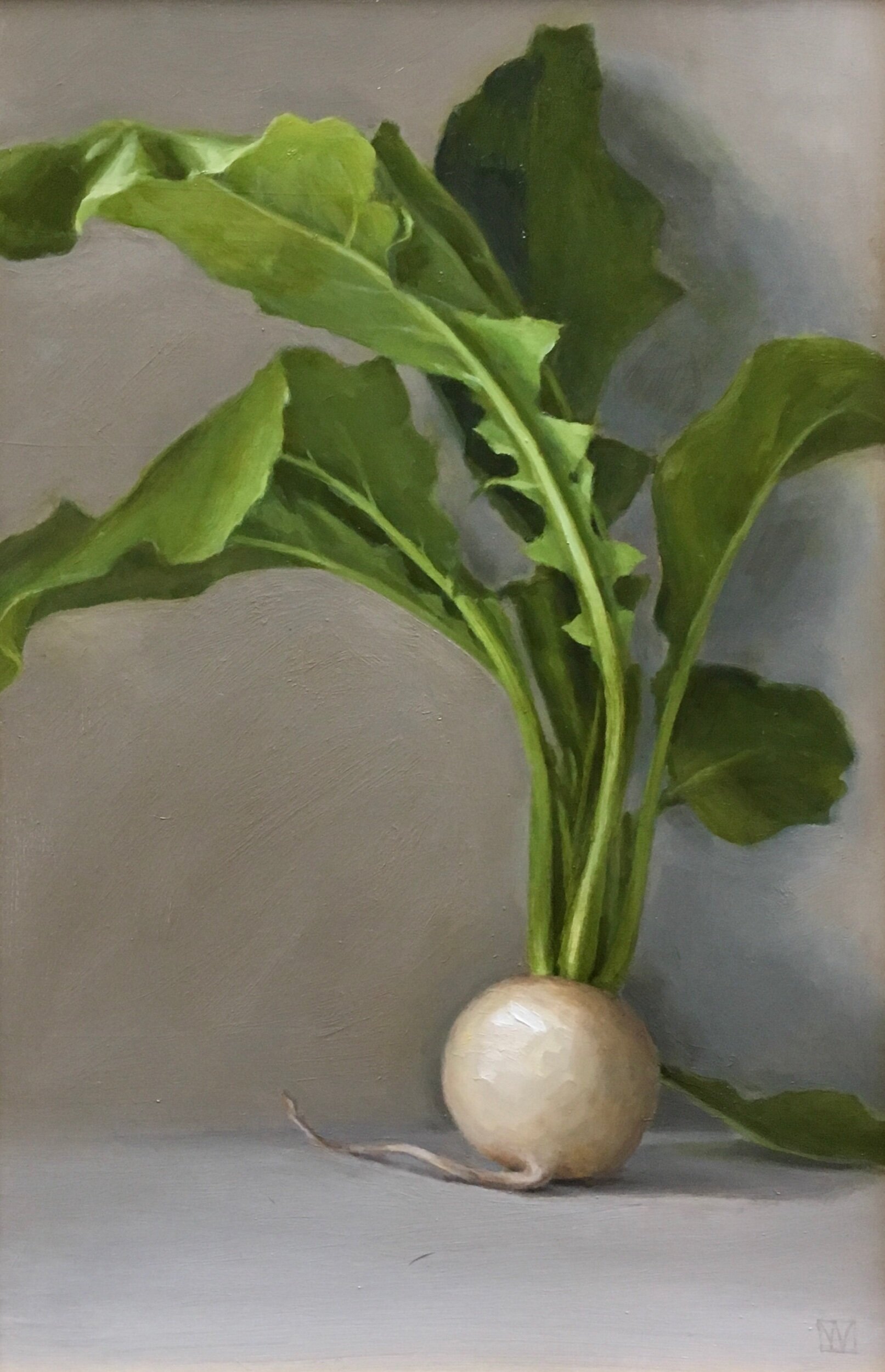 White Turnip
