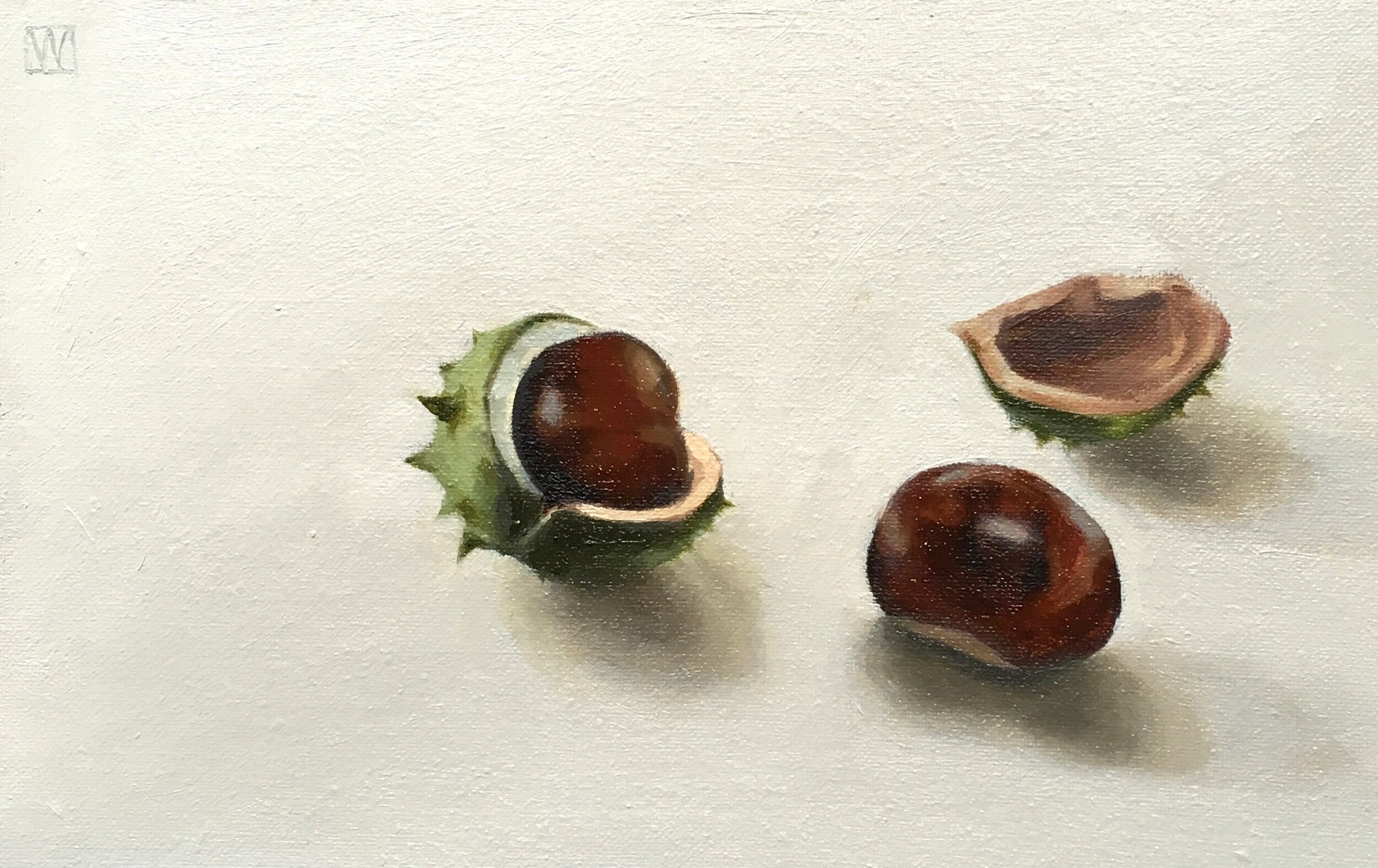 Horse Chestnuts