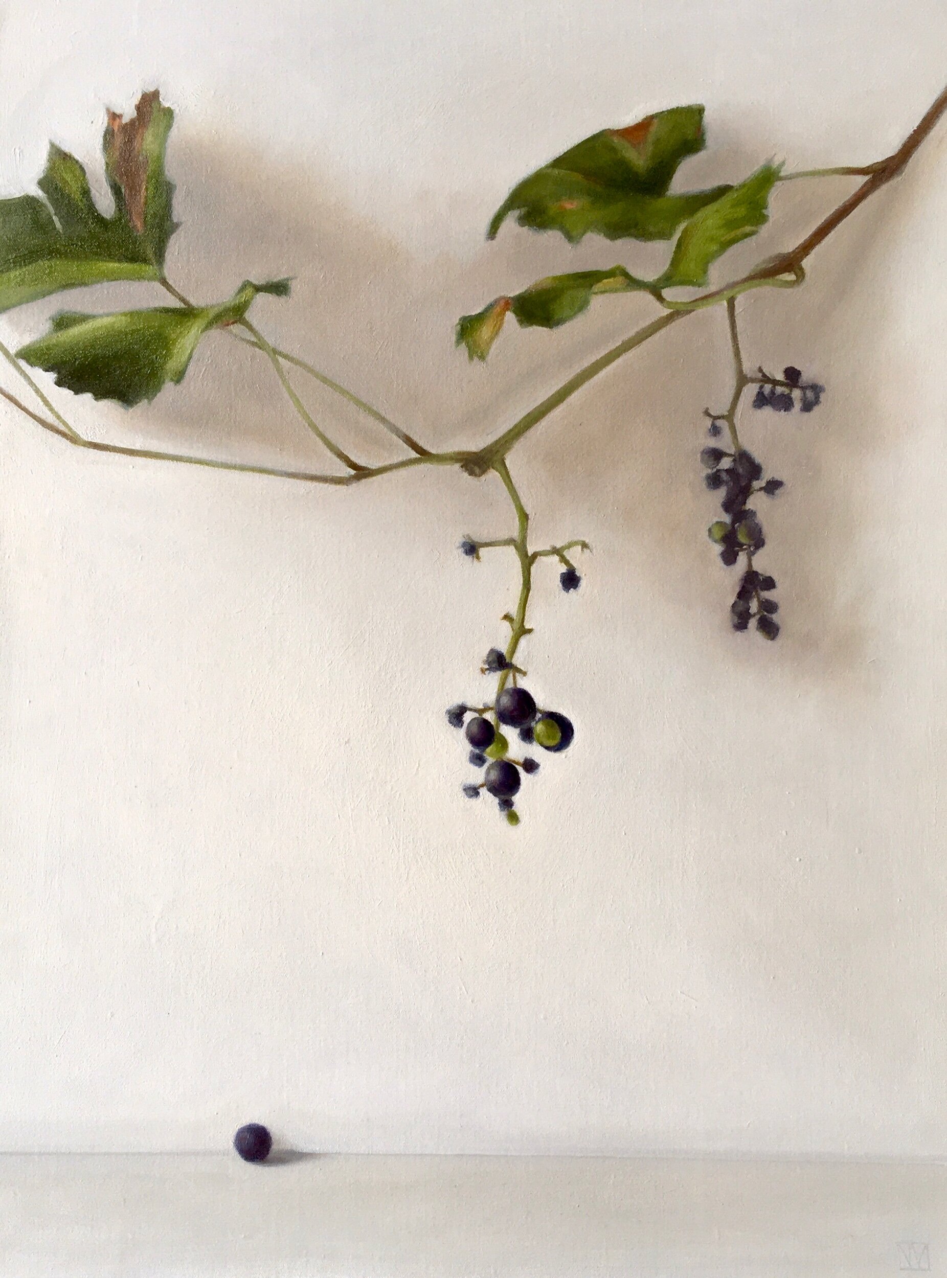 Hanging Grapevine