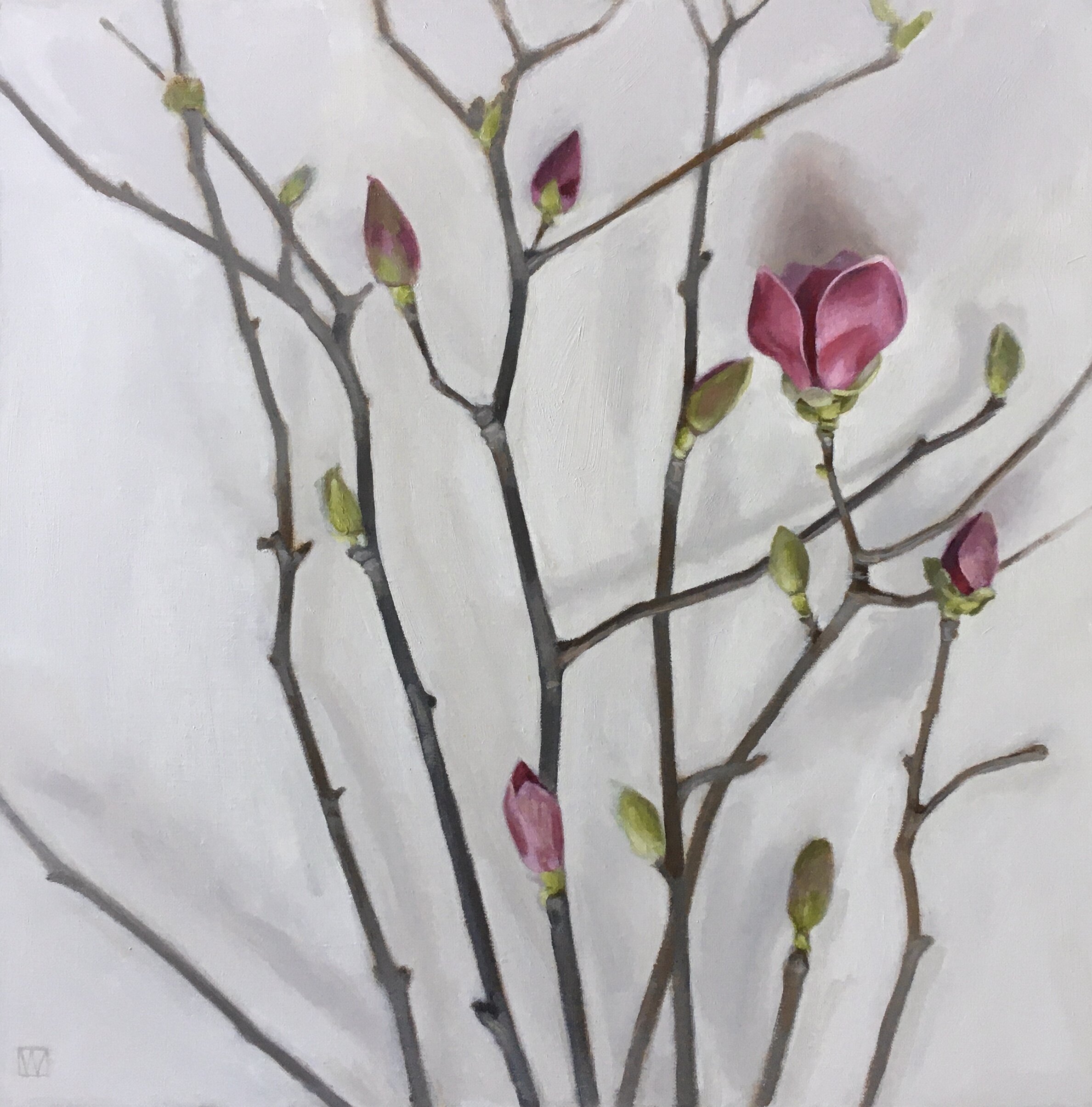 Magnolia Branches