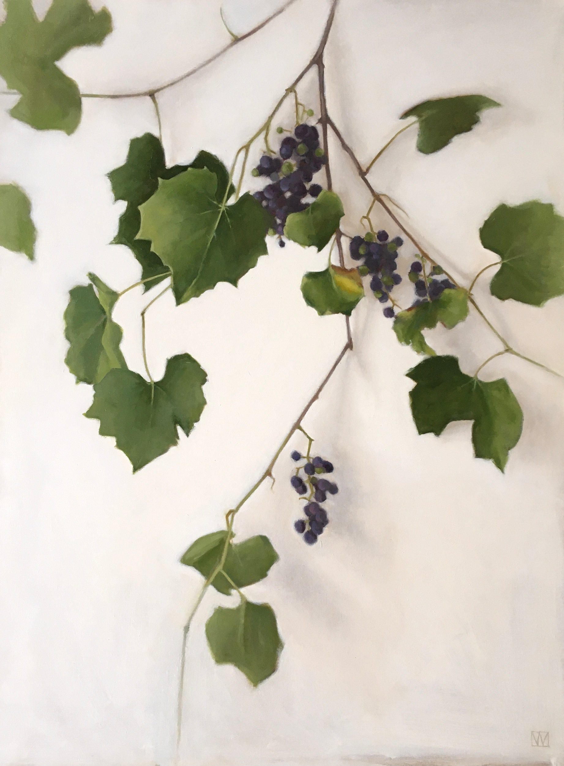 Grapevines