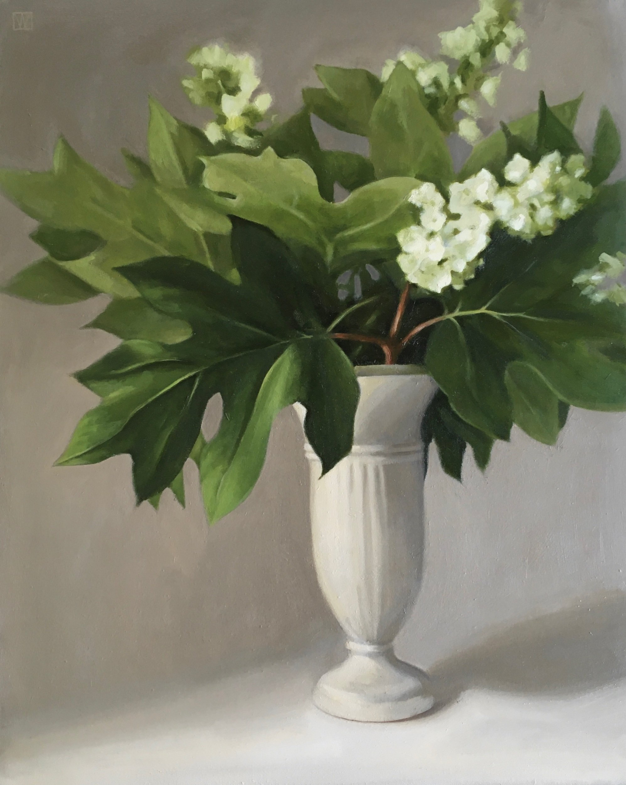 Hydrangea Branches