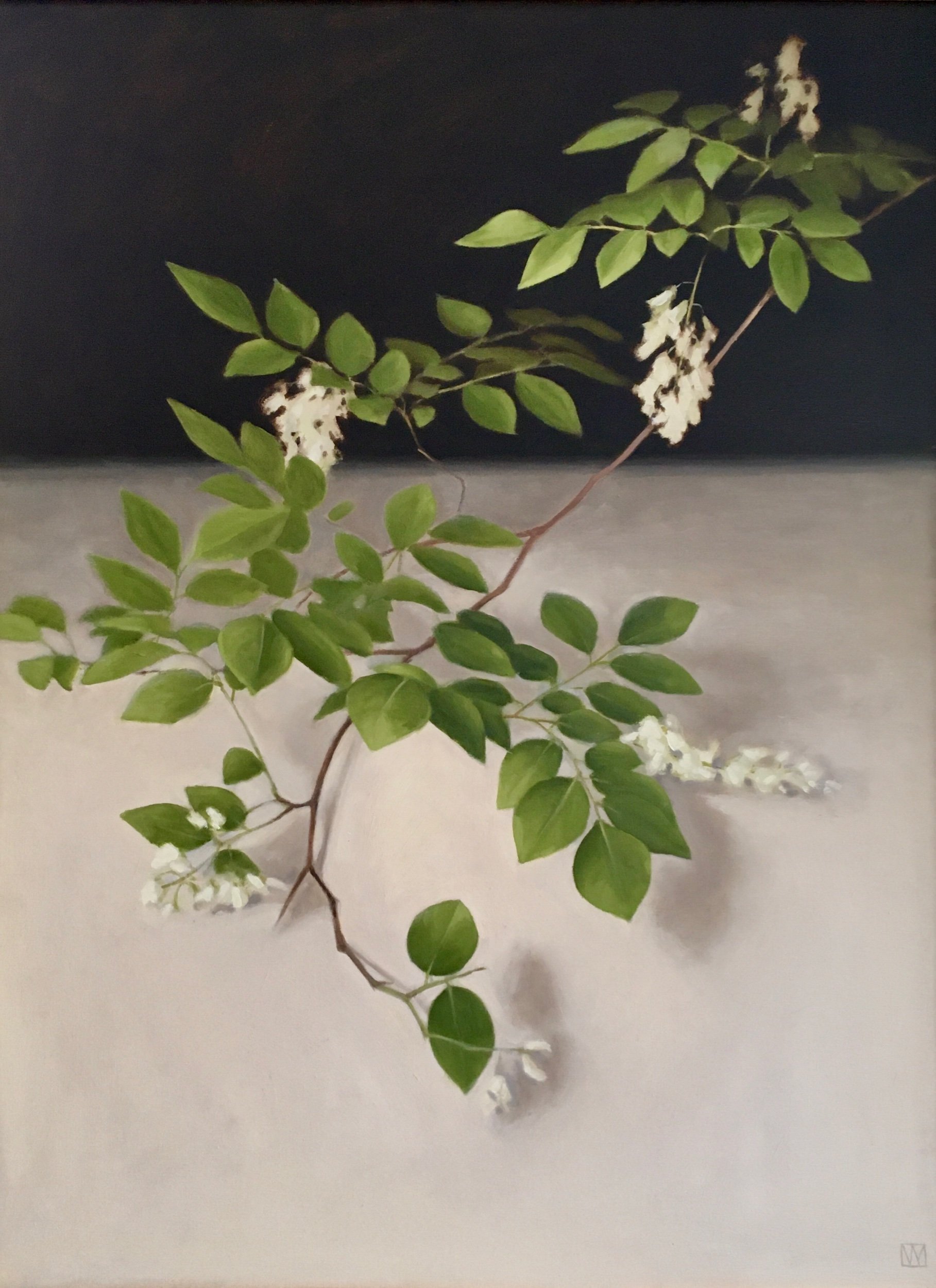Yellowwood Branch