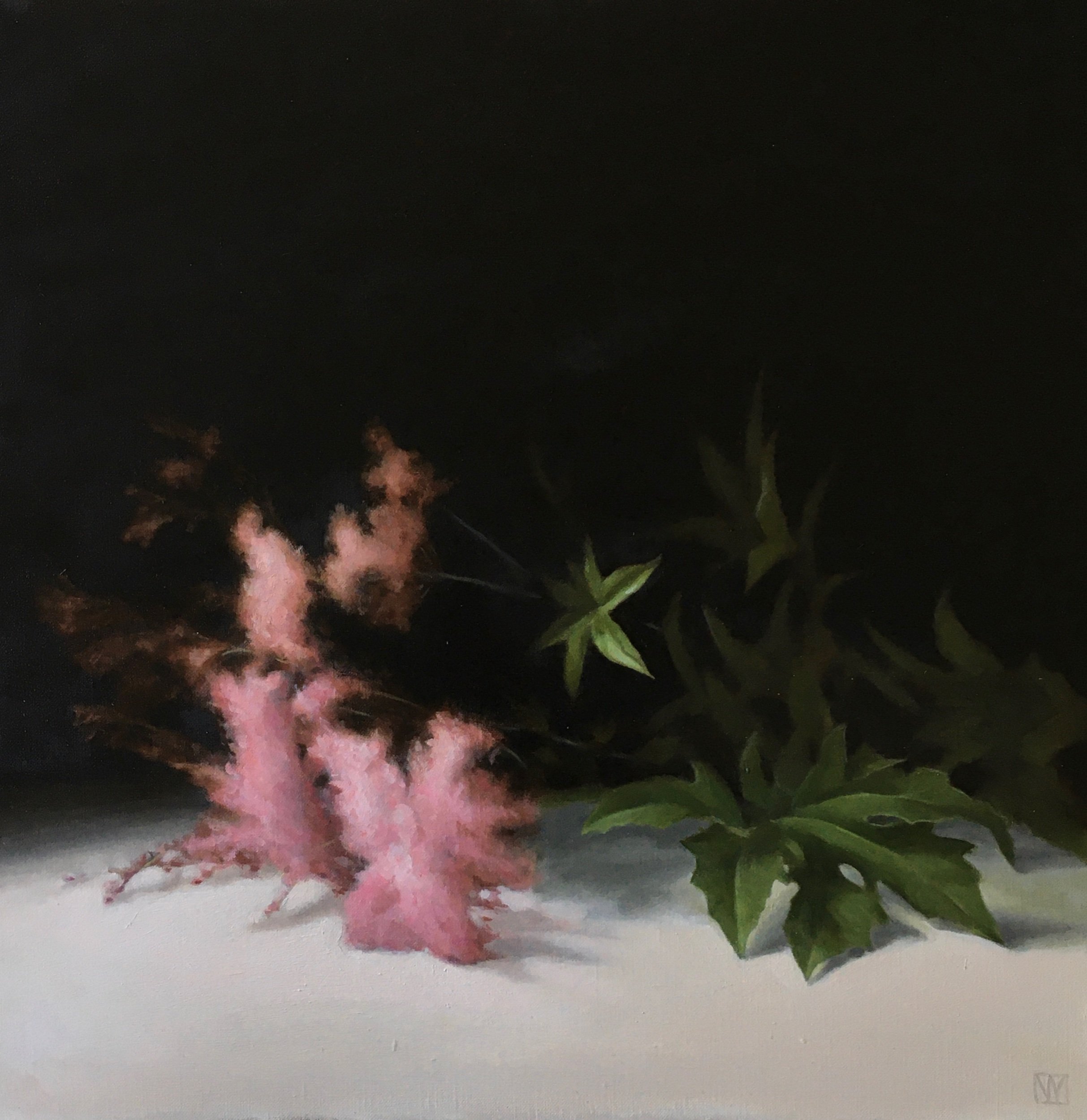 Filipendula
