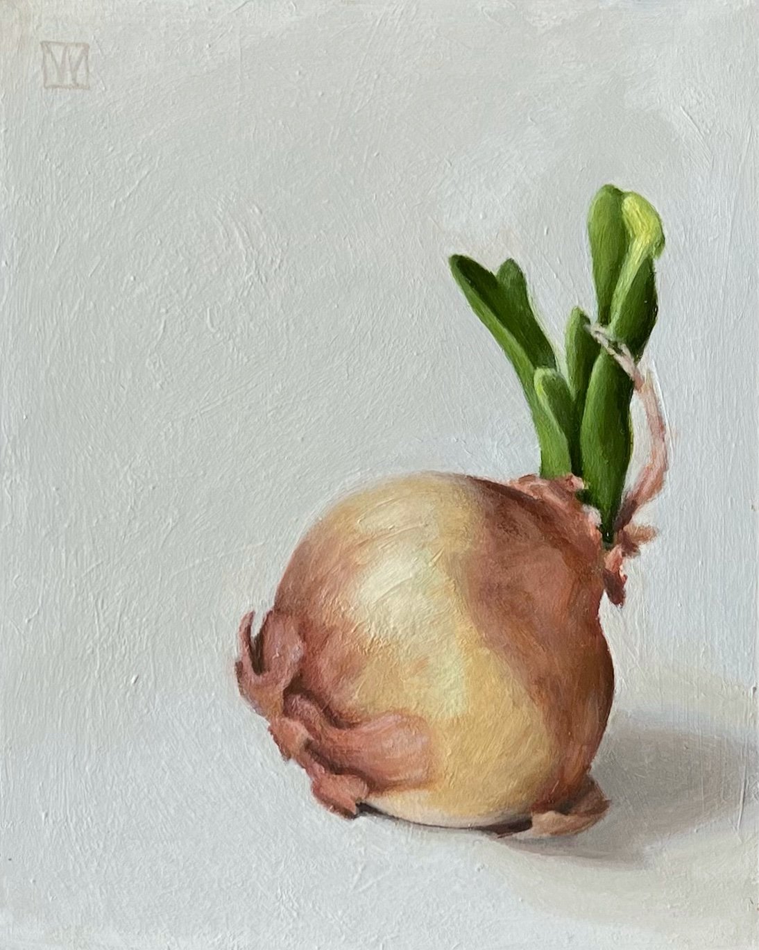 Sprouting Onion