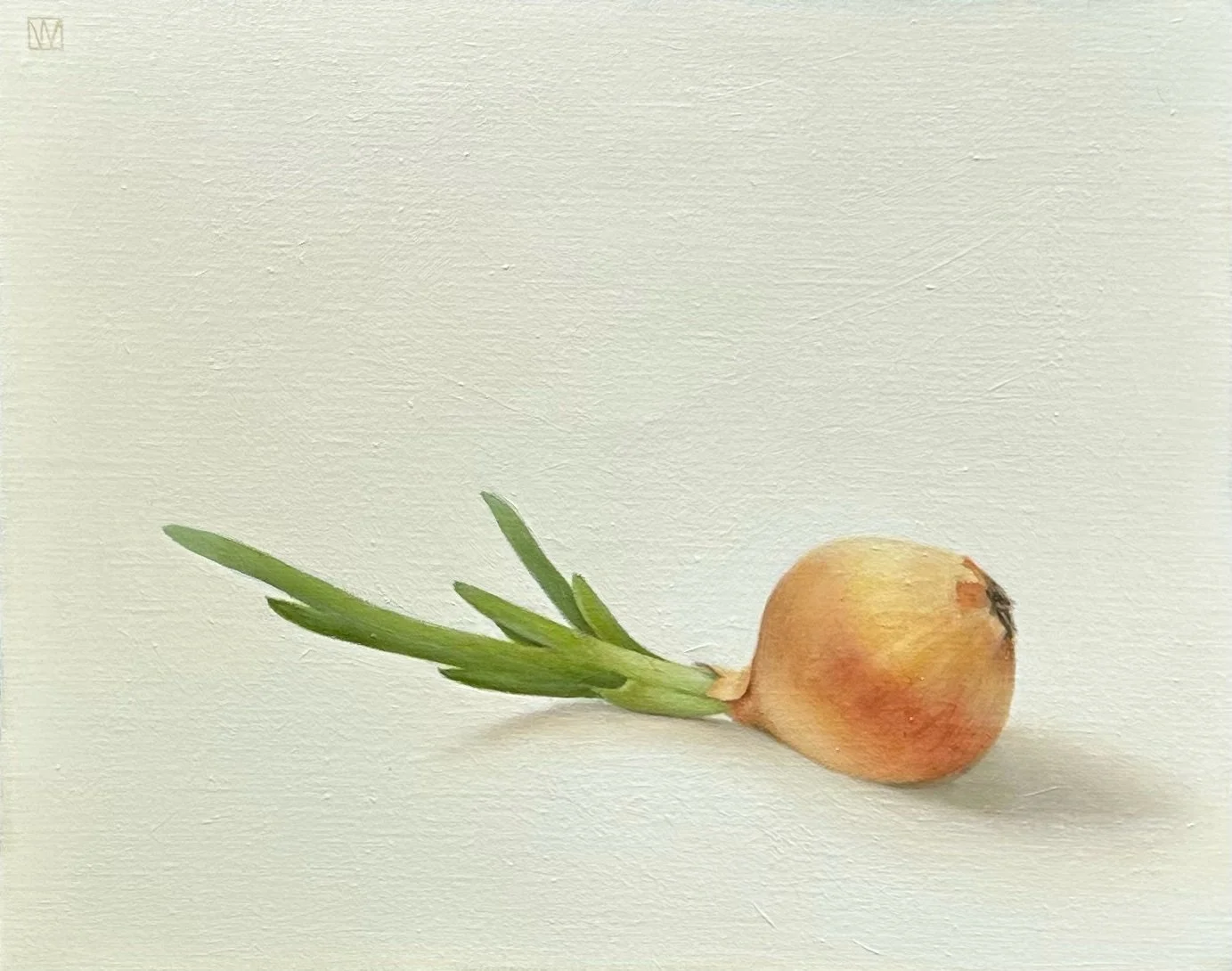 Sprouting Onion
