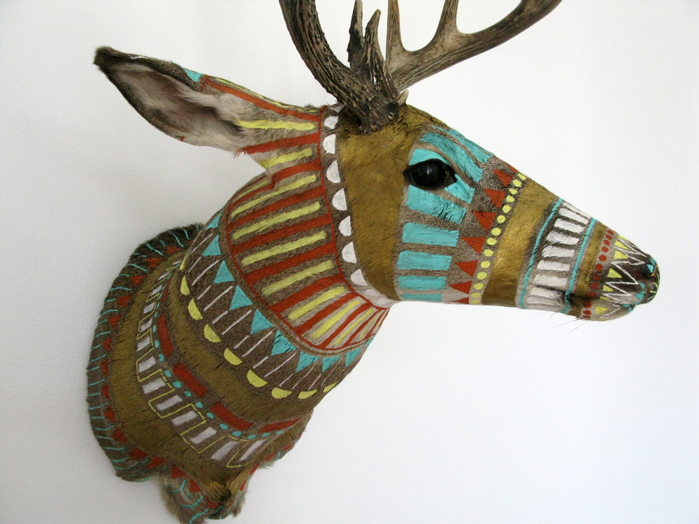 Cassandra Smith Deer.jpeg