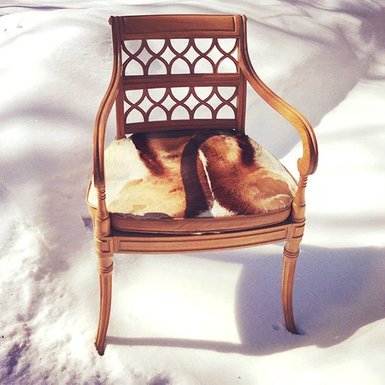A gorgeous chair. Its mate went home with someone who, unlike me, got her rear out of bed and faced the cold.