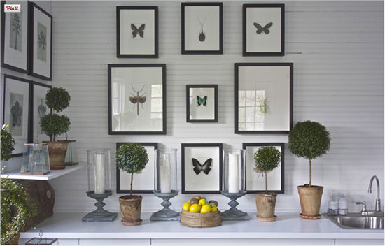 This is Ms. Roehm's greenhouse. The butterfly and bug specimens were purchased from Christopher Marley, an artist who creates stunning mosaics of insects. Read about how he turned a fear of bugs into his life's work on DesignMilk or peek at his incomparable art in his gallery, Pheromone .*