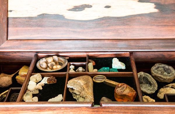 A shadow box with geodes, animal teeth, fossils and gemstones. Every time I visit, I want to sneak in some of my kid's baby teeth knowing that they'll be preserved for perpetuity.