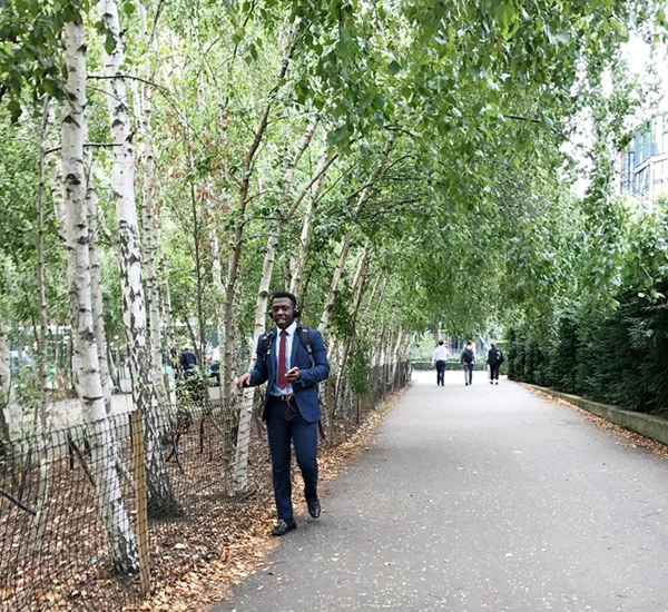 BirchTreeSuit_600.jpg