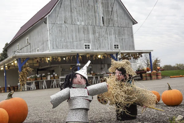 Wherever I went with my finger puppets, random people enjoyed helping me pose them. Yesterday, the woman working at the farm stand wanted to art direct. She loved Jane and Nick as the Tin Man and the Scarecrow but she was quite disappointed that I didn't have the whole cast represented. And she kept hollering at her customers to get out of the frame of the photo.