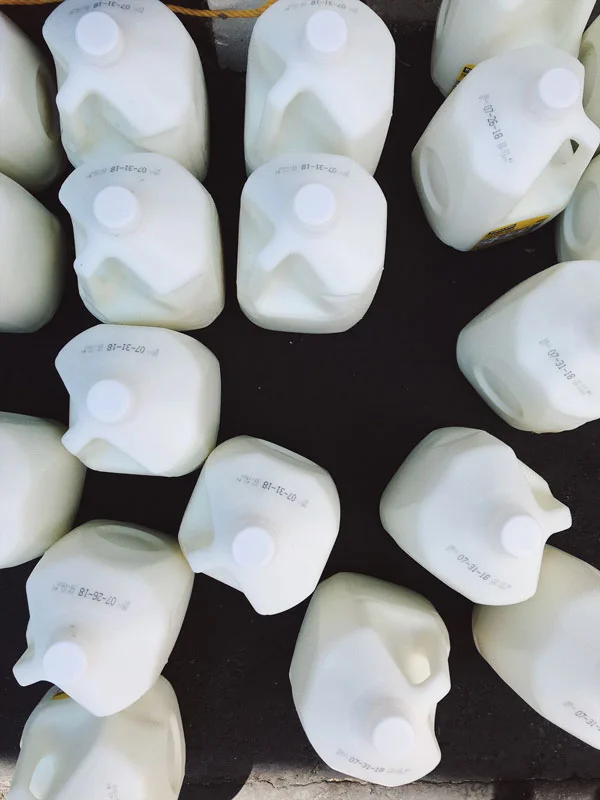 gallons-of-milk-for-our-milk-bath.jpg