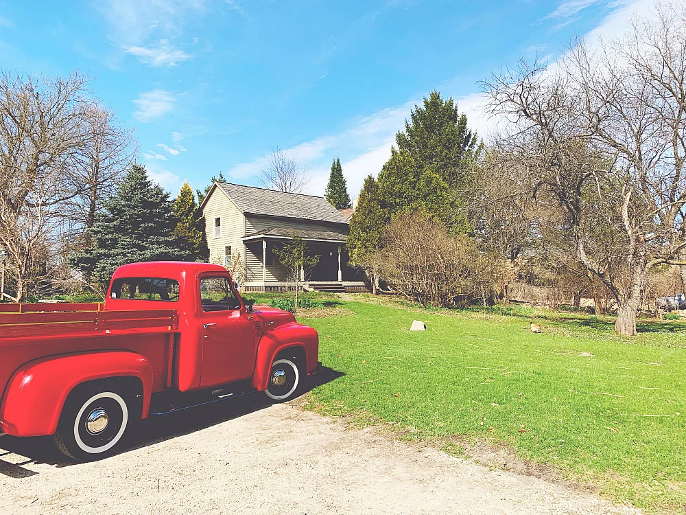 BettyFarm_1000.jpg
