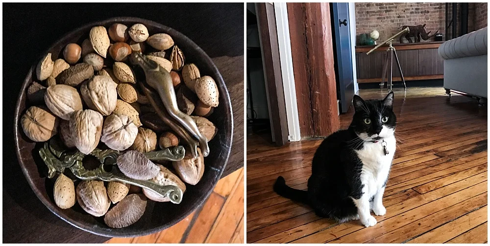Left: Even a bowlful of nuts looks beautiful in that moody Chicago light. Right: Bo, the cat, is named after the revered Michigan coach, Bo Schembechler. It hurt my Illini fingers to type that line.