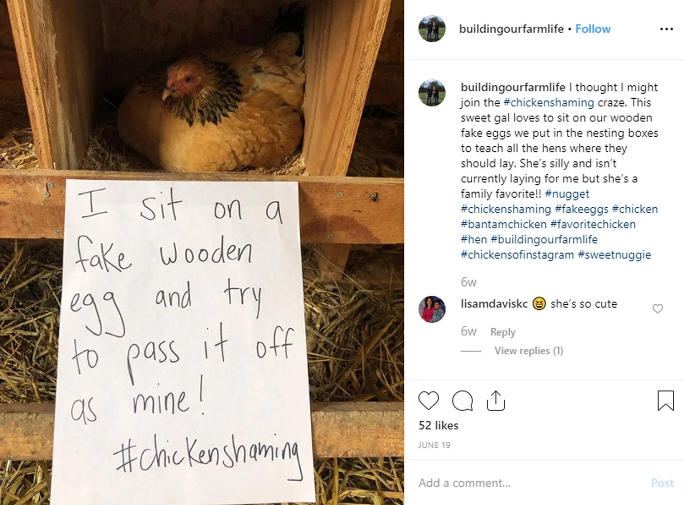 chicken-shaming-1.jpg