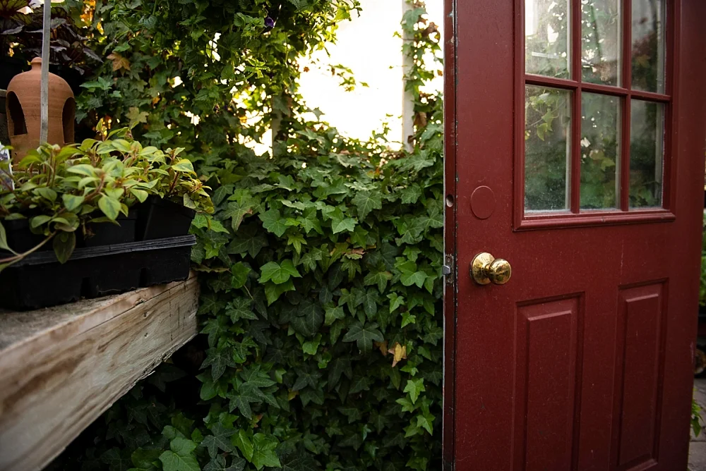 2019-08-26_0018.jpg
