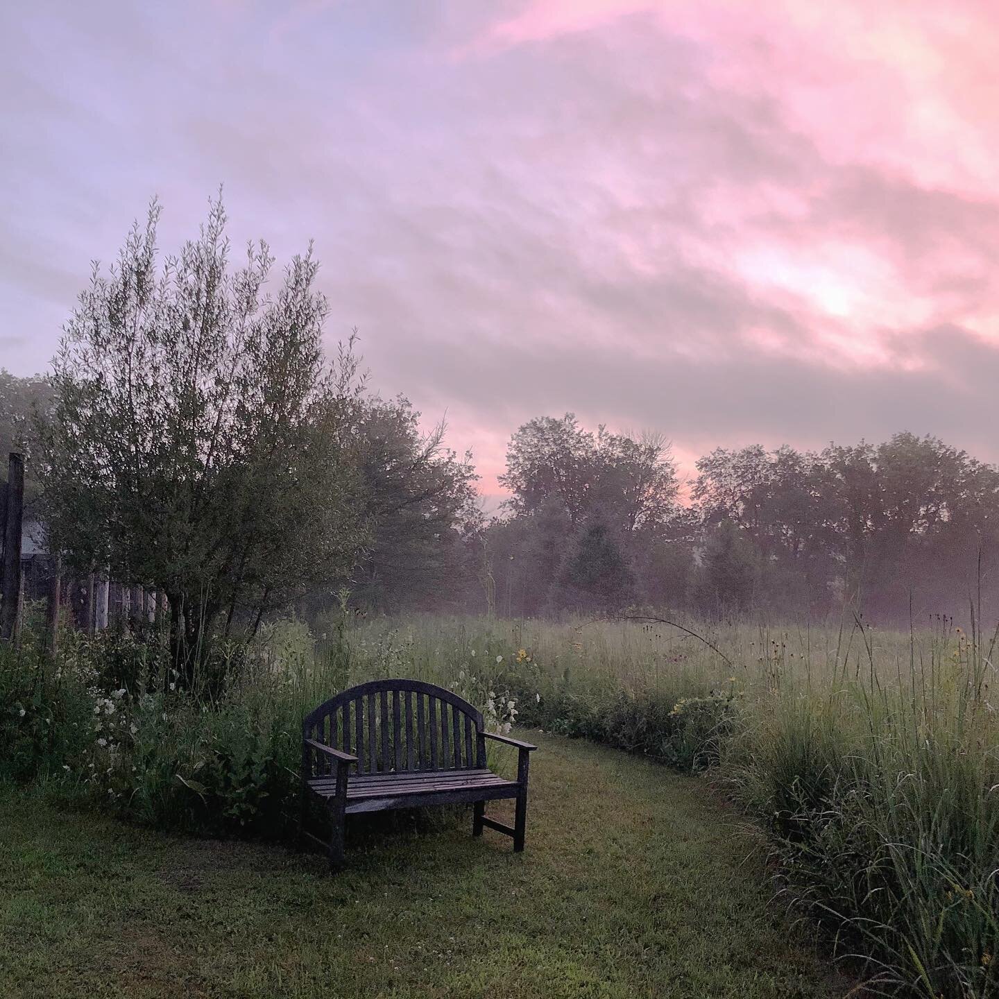 On the blog today: a tour of the best places on the farm to sit for a spell. And I write a bit about what it&rsquo;s like to cohabit with a son who used to give me every kind of gray hair. He could teach a polar bear how to be grumpy and I could teac